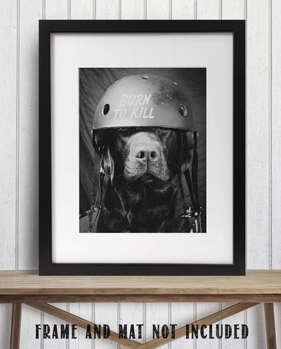 Born To Kill- Funny Dog Poster Print- 8 x 10" Print Wall Art- Ready to Frame. Retro Black & White Photography Print of Humorous Helmeted Dog for Home-Office-Garage-Bar-Man Cave D?cor. Great Gift!