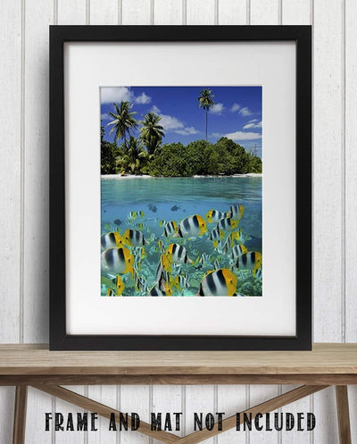 Tropical Island Snorkeling Fish- 8 x 10 Prints Wall Art. Perfect for Home Decor, Office Decor or Children's Bedroom Decor. Perfect Gift for the Tropical Fishy Folks and Aquarium Lovers.