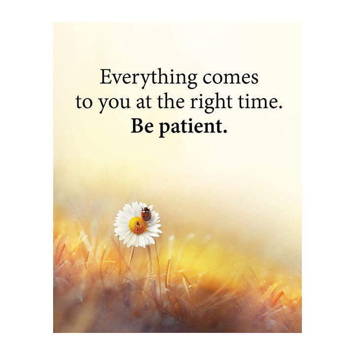 Everything Comes to You at the Right Time Inspirational Quotes Wall Art -8 x 10" Floral Print w/Ladybug Image-Ready to Frame. Motivational Home-Office-School-Dorm Decor. Great Gift of Inspiration!