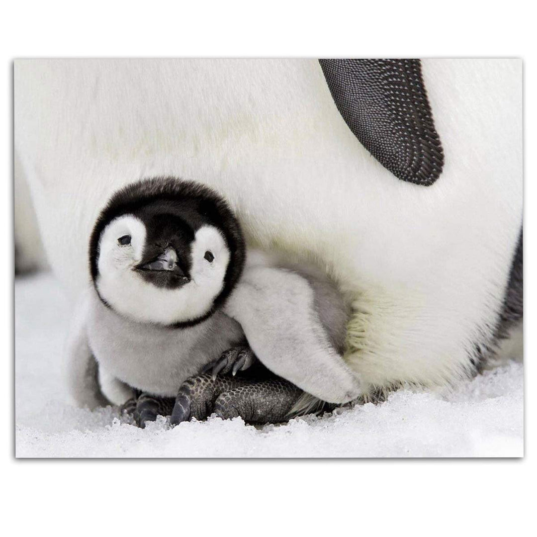 Adorable Baby Penguin &amp; Mom- 8 x 10" Print Wall Art- Ready to Frame- Home D?cor, Nursery D?cor &amp; Wall Prints for Animal Themes &amp; Children&