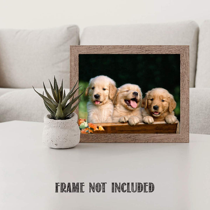 Lab Puppy Triplets- 8 x 10" Print Wall Art- Ready to Frame- Home D?cor, Nursery D?cor &amp; Wall Prints for Animal Themes &amp; Children&
