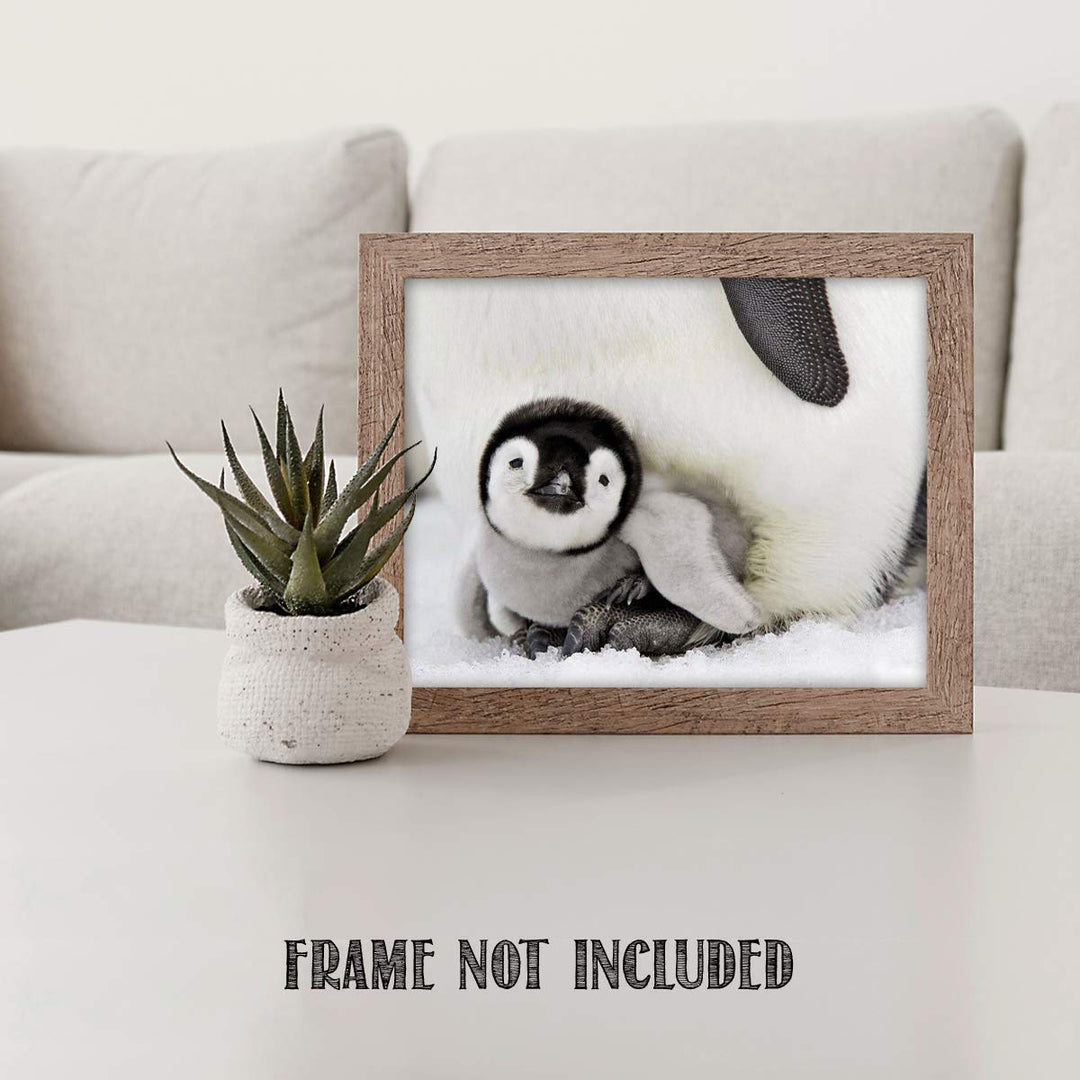Adorable Baby Penguin &amp; Mom- 8 x 10" Print Wall Art- Ready to Frame- Home D?cor, Nursery D?cor &amp; Wall Prints for Animal Themes &amp; Children&