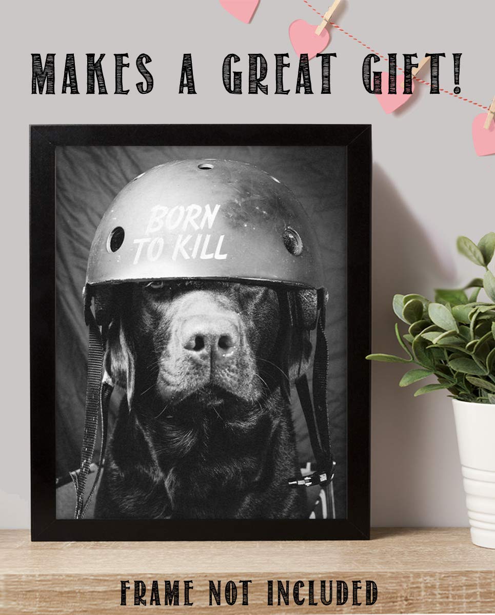 Born To Kill- Funny Dog Poster Print- 8 x 10" Print Wall Art- Ready to Frame. Retro Black &amp; White Photography Print of Humorous Helmeted Dog for Home-Office-Garage-Bar-Man Cave D?cor. Great Gift!