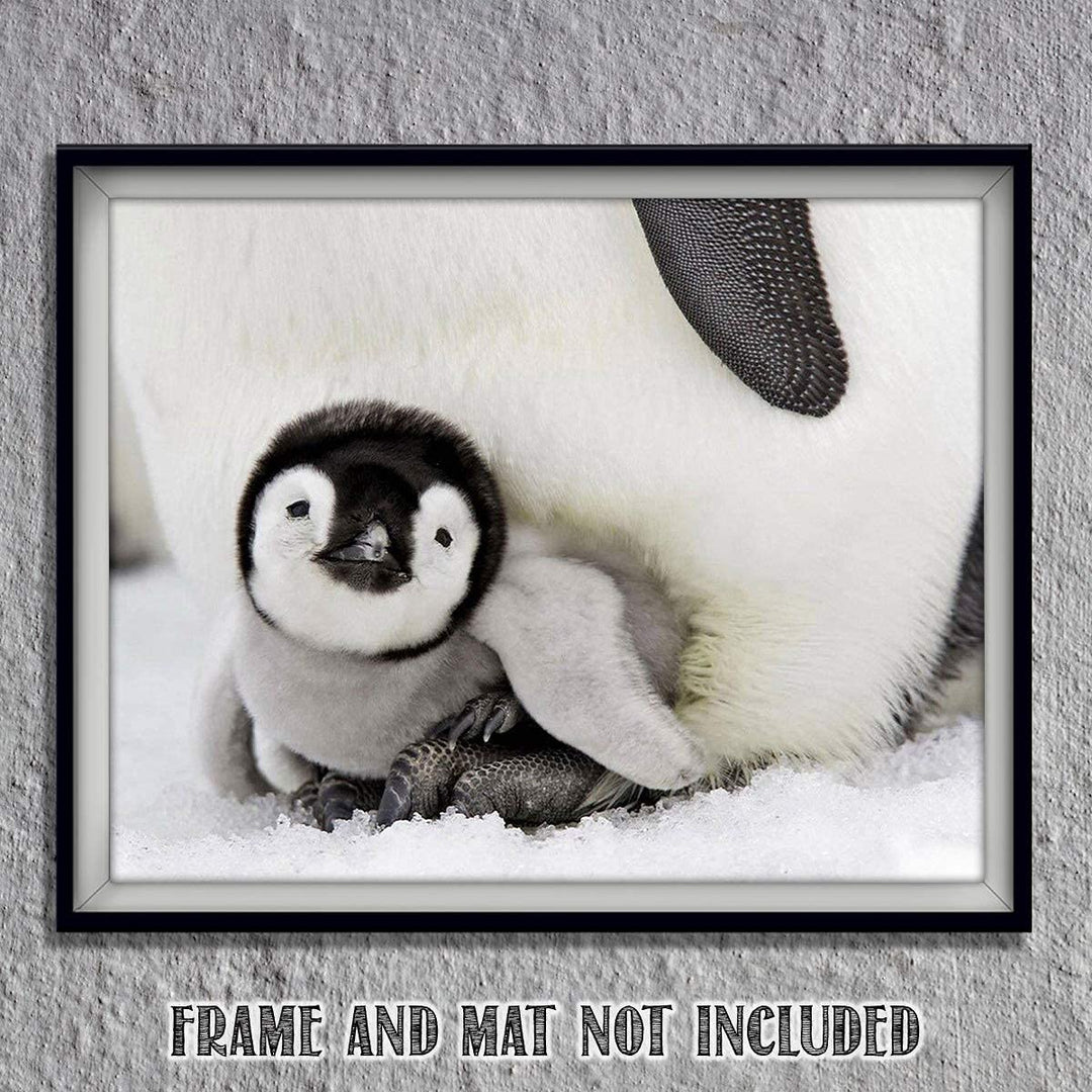 Adorable Baby Penguin &amp; Mom- 8 x 10" Print Wall Art- Ready to Frame- Home D?cor, Nursery D?cor &amp; Wall Prints for Animal Themes &amp; Children&