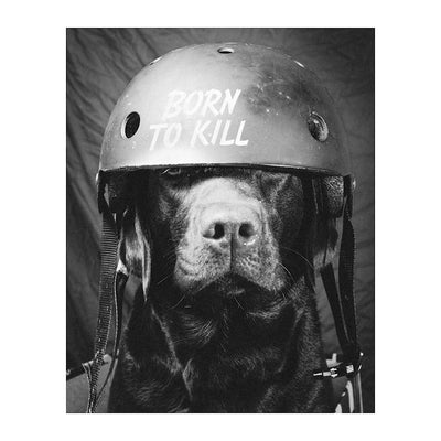 Born To Kill- Funny Dog Poster Print- 8 x 10" Print Wall Art- Ready to Frame. Retro Black & White Photography Print of Humorous Helmeted Dog for Home-Office-Garage-Bar-Man Cave D?cor. Great Gift!