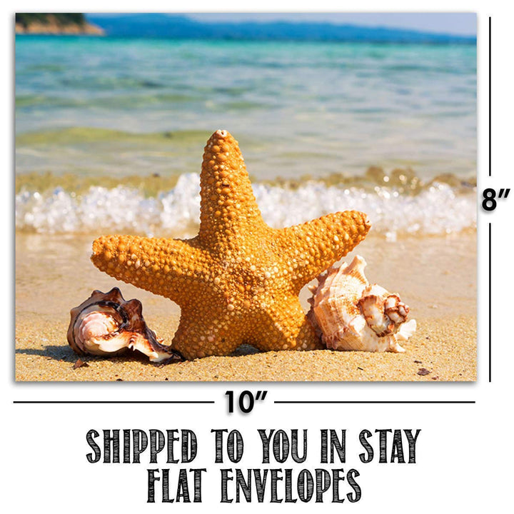 Beach &amp; Sea Shell Collection- 4 Print Set- 8 x 10"s Prints Wall Art- Ready to Frame. Home D?cor- Office D?cor &amp; Modern Art Prints for Beach Wall Decor. Great Gift For Ocean &amp; Shell Lovers.