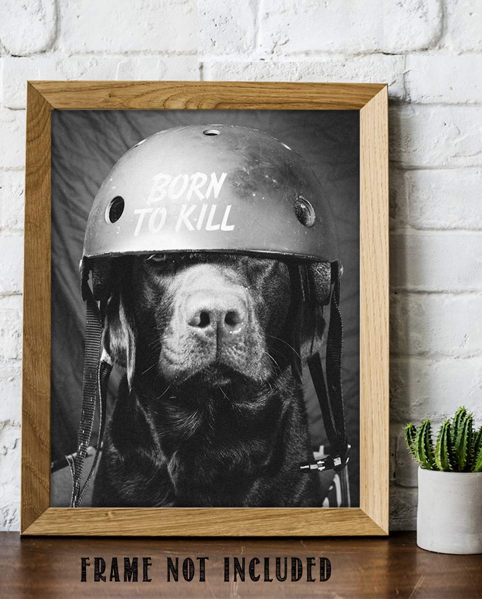 Born To Kill- Funny Dog Poster Print- 8 x 10" Print Wall Art- Ready to Frame. Retro Black &amp; White Photography Print of Humorous Helmeted Dog for Home-Office-Garage-Bar-Man Cave D?cor. Great Gift!