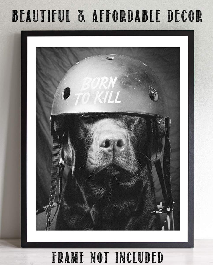 Born To Kill- Funny Dog Poster Print- 8 x 10" Print Wall Art- Ready to Frame. Retro Black &amp; White Photography Print of Humorous Helmeted Dog for Home-Office-Garage-Bar-Man Cave D?cor. Great Gift!