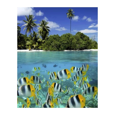 Tropical Island Snorkeling Fish- 8 x 10 Prints Wall Art. Perfect for Home Decor, Office Decor or Children's Bedroom Decor. Perfect Gift for the Tropical Fishy Folks and Aquarium Lovers.