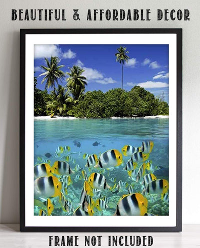 Tropical Island Snorkeling Fish- 8 x 10 Prints Wall Art. Perfect for Home Decor, Office Decor or Children's Bedroom Decor. Perfect Gift for the Tropical Fishy Folks and Aquarium Lovers.