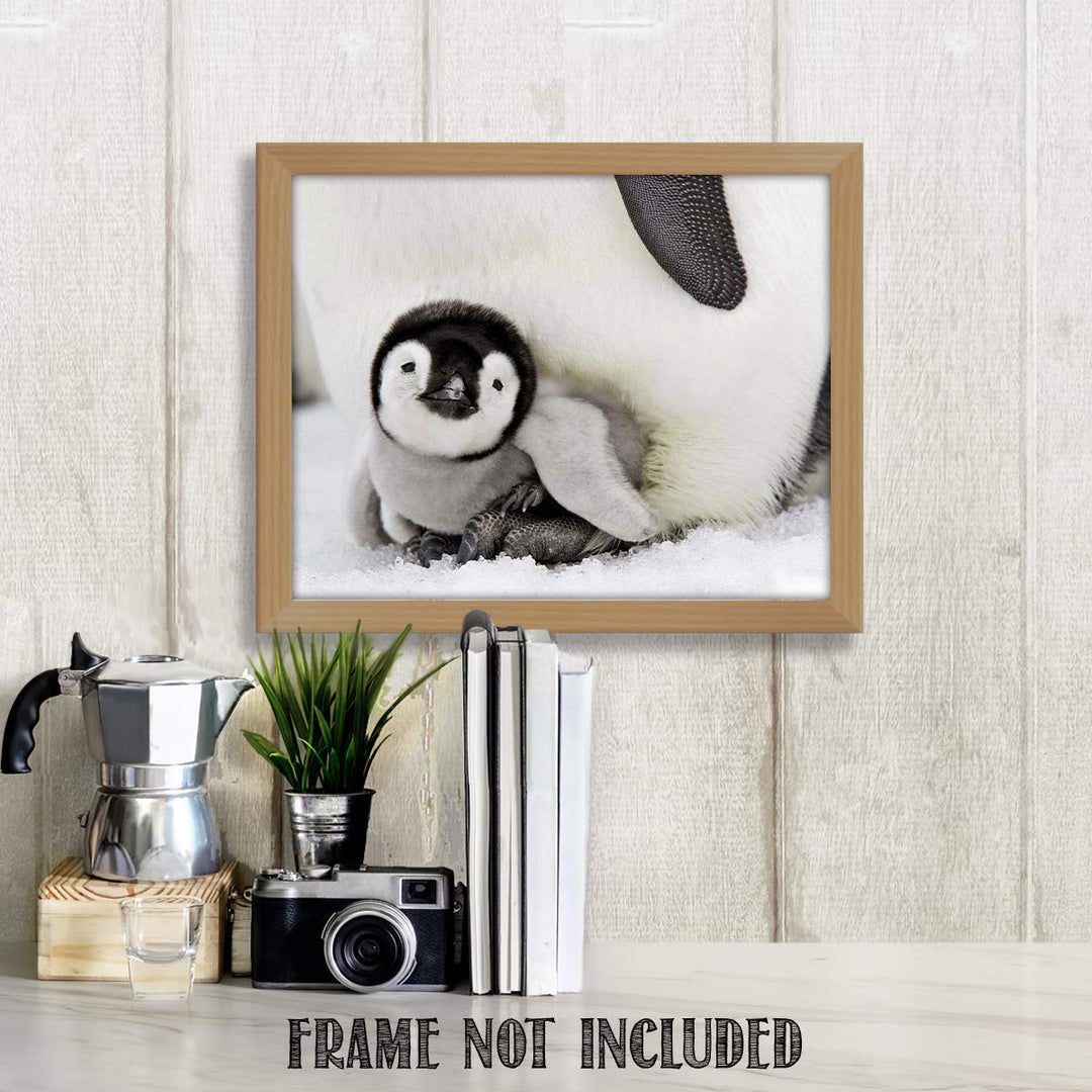 Adorable Baby Penguin &amp; Mom- 8 x 10" Print Wall Art- Ready to Frame- Home D?cor, Nursery D?cor &amp; Wall Prints for Animal Themes &amp; Children&