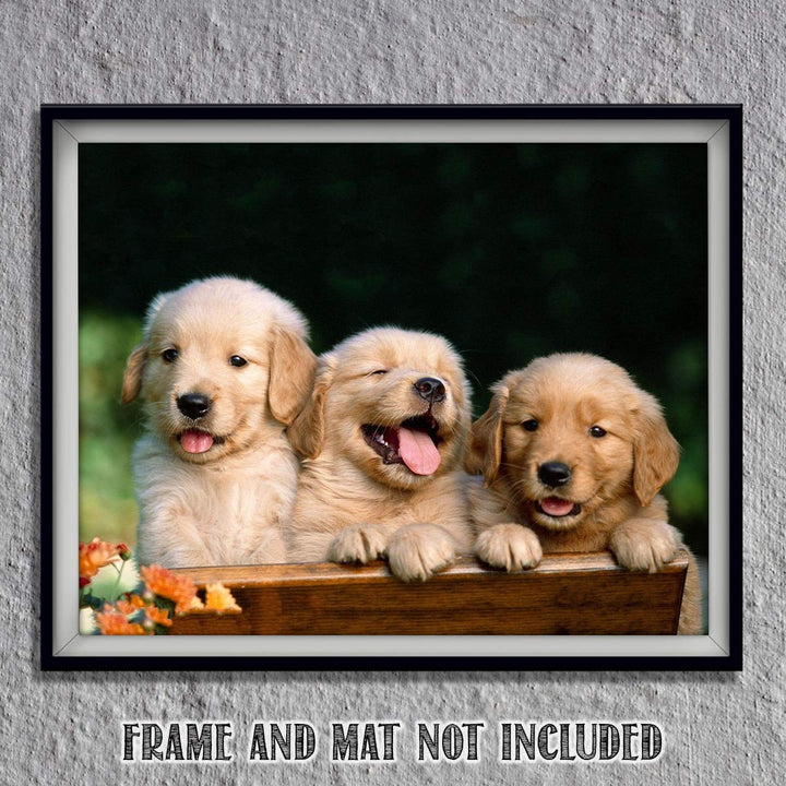 Lab Puppy Triplets- 8 x 10" Print Wall Art- Ready to Frame- Home D?cor, Nursery D?cor &amp; Wall Prints for Animal Themes &amp; Children&