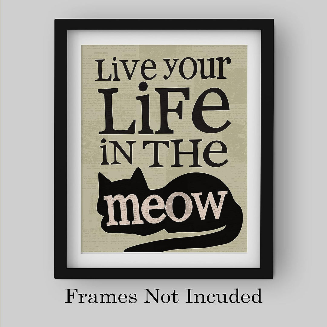 Live Your Life in the Meow Funny Cats Wall Decor-8 x 10" Typographic Sign Print w/Cat Image-Ready to Frame. Perfect Home-Office-Desk-Vet Clinic Decor. Fun Gift for Cat Owners &amp; All Pet Lovers!