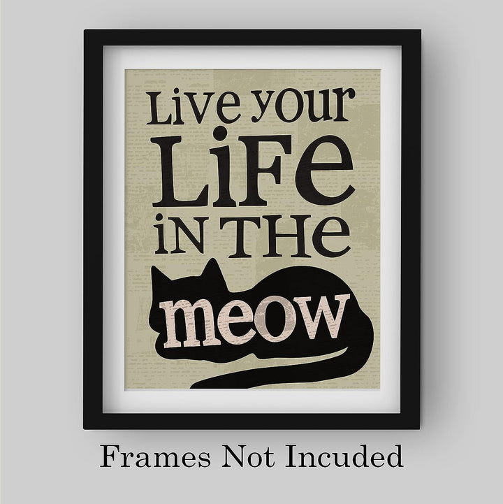 Live Your Life in the Meow Funny Cats Wall Decor-8 x 10" Typographic Sign Print w/Cat Image-Ready to Frame. Perfect Home-Office-Desk-Vet Clinic Decor. Fun Gift for Cat Owners &amp; All Pet Lovers!