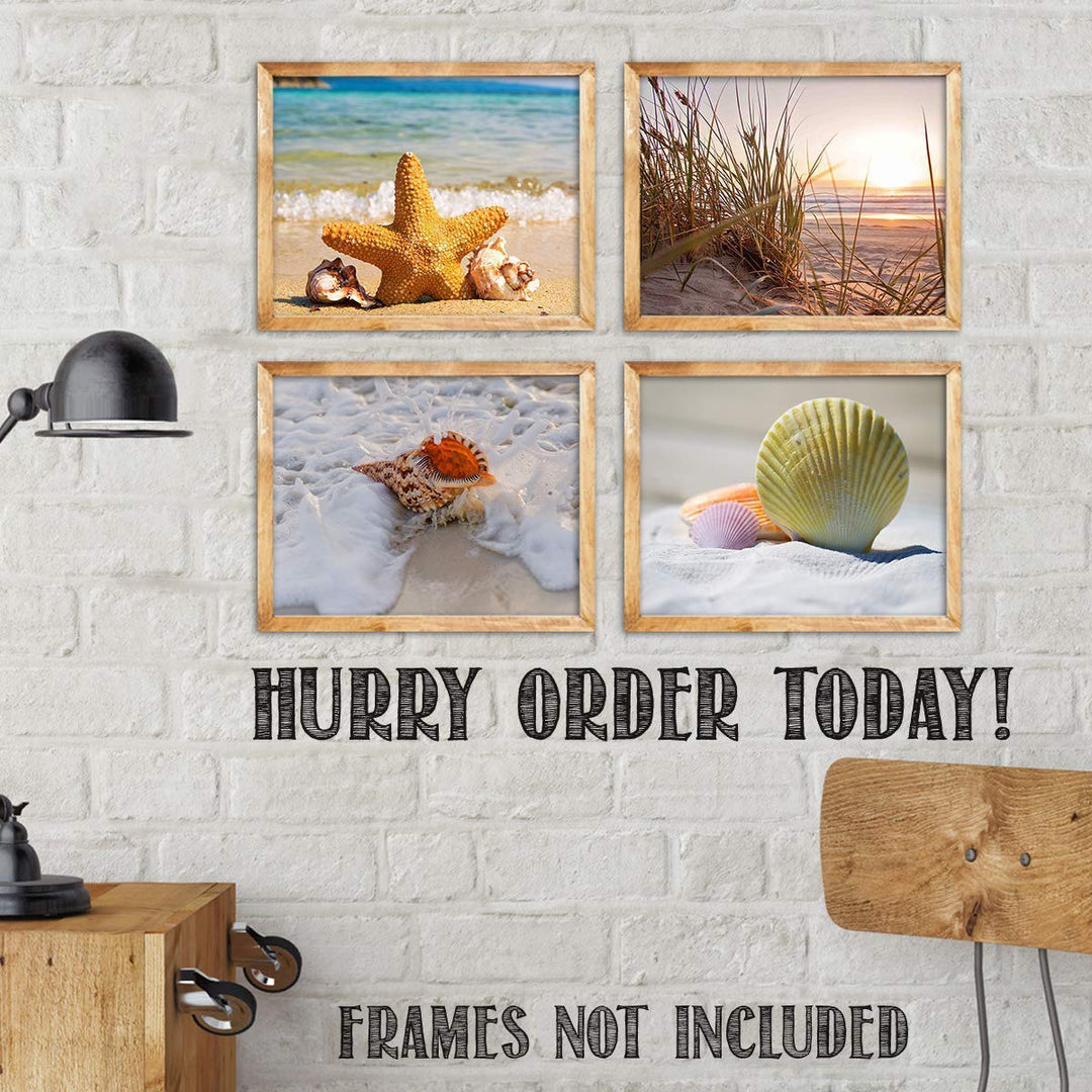 Beach &amp; Sea Shell Collection- 4 Print Set- 8 x 10"s Prints Wall Art- Ready to Frame. Home D?cor- Office D?cor &amp; Modern Art Prints for Beach Wall Decor. Great Gift For Ocean &amp; Shell Lovers.