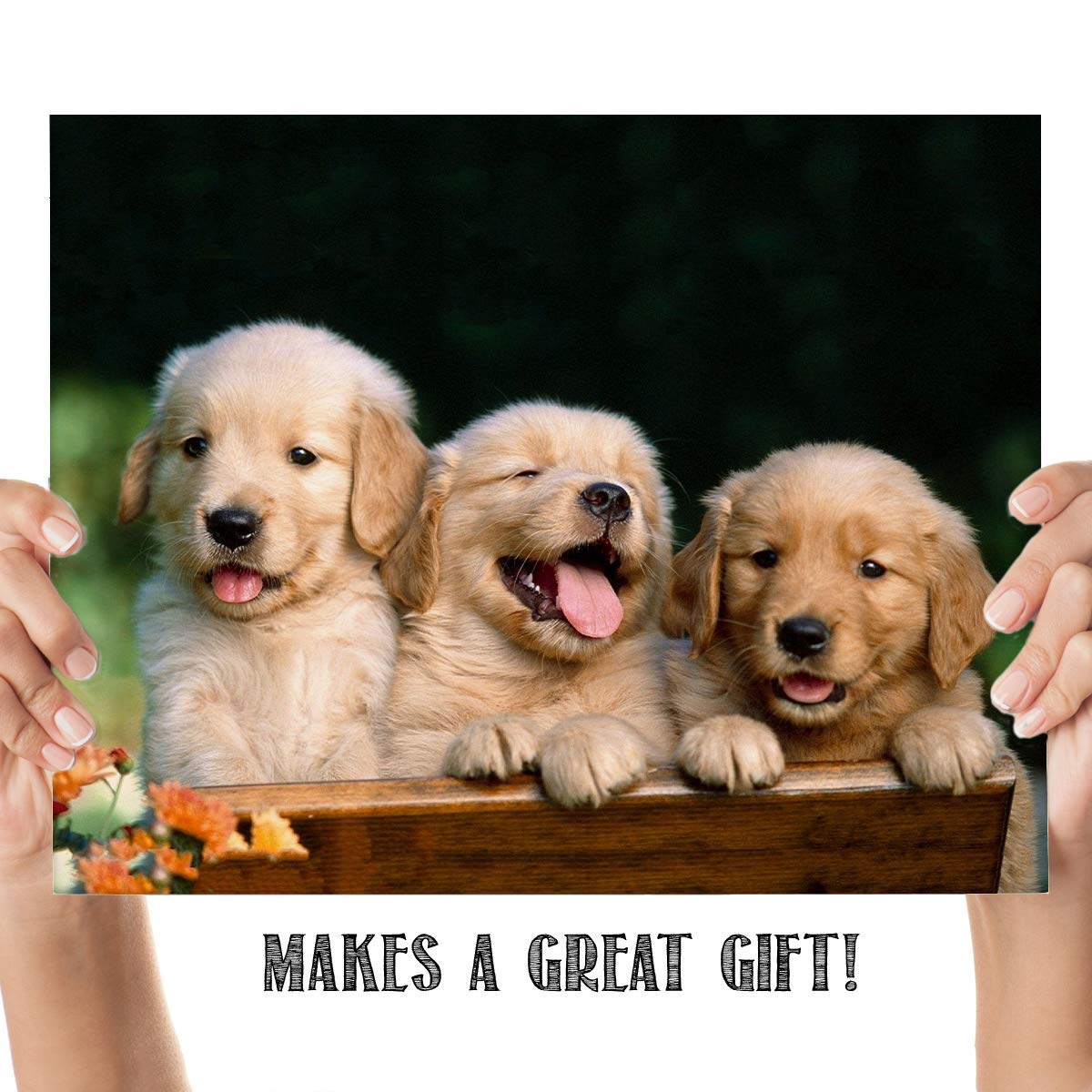 Lab Puppy Triplets- 8 x 10" Print Wall Art- Ready to Frame- Home D?cor, Nursery D?cor & Wall Prints for Animal Themes & Children's Bedroom Wall Decor. Just Too Cute!