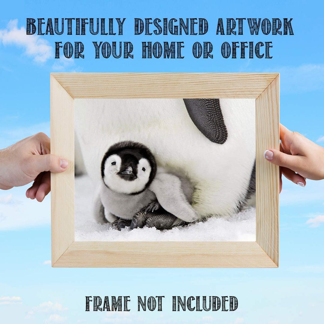 Adorable Baby Penguin &amp; Mom- 8 x 10" Print Wall Art- Ready to Frame- Home D?cor, Nursery D?cor &amp; Wall Prints for Animal Themes &amp; Children&