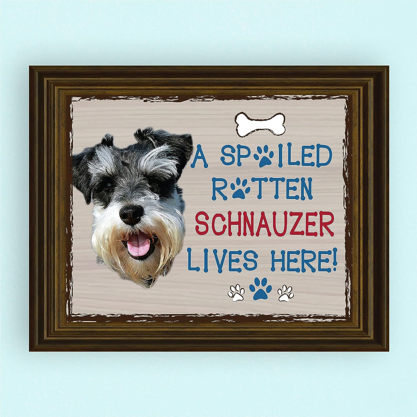 Schnauzer-Dog Poster Print-10 x 8" Wall Decor Sign-Ready To Frame."A Spoiled Rotten Schnauzer Lives Here". Perfect Pet Wall Art for Home-Kitchen-Cave-Bar-Garage. Great Gift for Schnauzer Lovers.