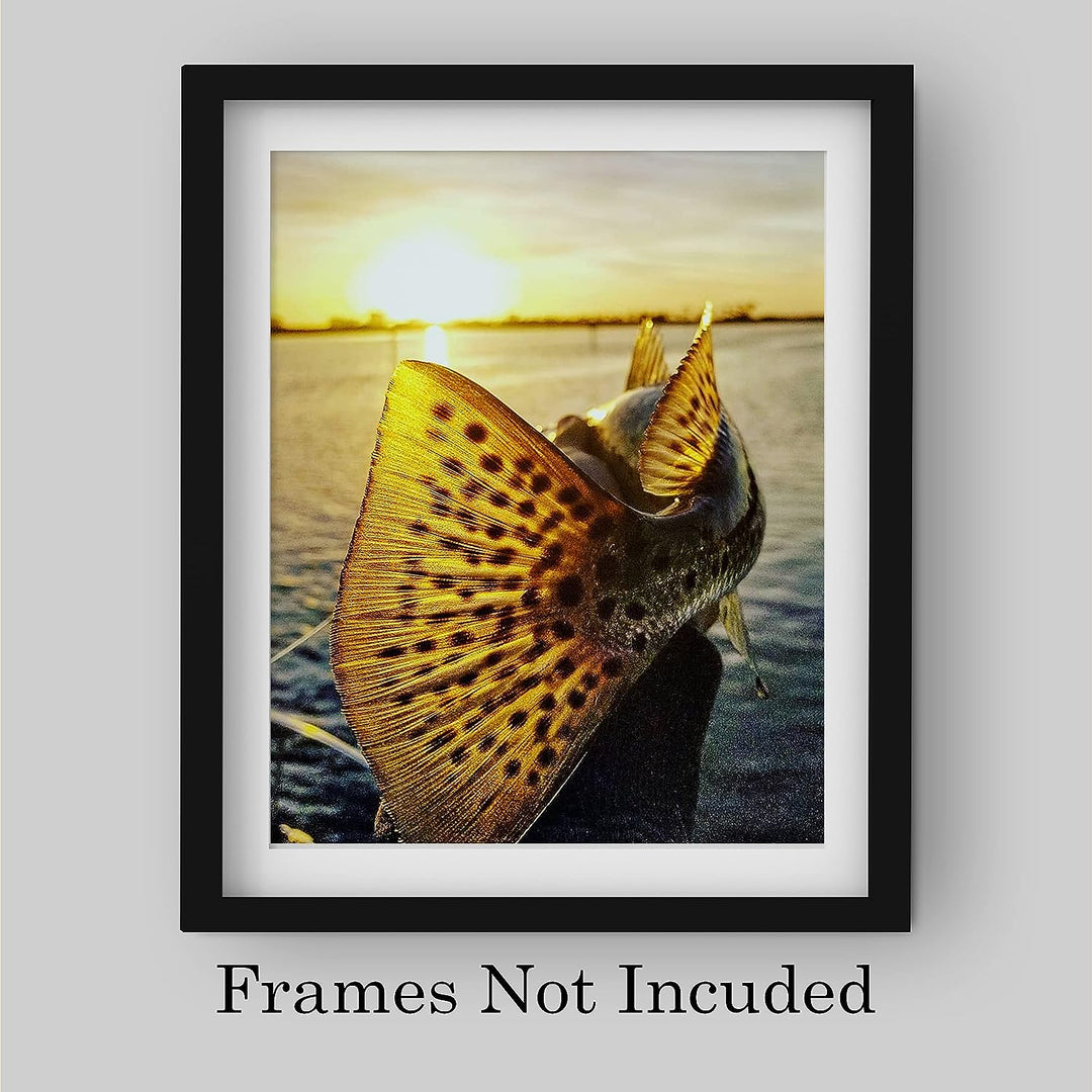 18" Speckled Sea Trout -Fish Photo Print -8 x 10" Ocean Sunset Wall Art Print-Ready to Frame. Fishing Picture Print for Home-Cabin-Lodge-Lake-Beach House Decor. Perfect Gift for All Fishermen!
