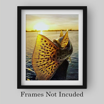 18" Speckled Sea Trout -Fish Photo Print -8 x 10" Ocean Sunset Wall Art Print-Ready to Frame. Fishing Picture Print for Home-Cabin-Lodge-Lake-Beach House Decor. Perfect Gift for All Fishermen!