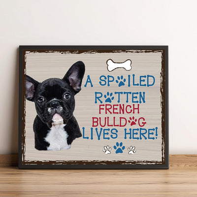 French Bulldog-Dog Poster Print-10 x 8" Wall Decor Sign-Ready To Frame."A Spoiled Rotten French Bulldog Lives Here". Perfect Pet Wall Art for Home-Kitchen-Cave-Garage. Great Gift for Frenchie Fans!