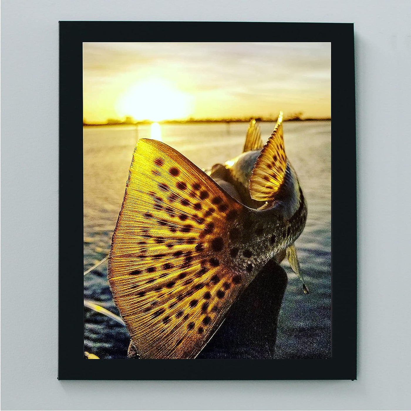 18" Speckled Sea Trout -Fish Photo Print -8 x 10" Ocean Sunset Wall Art Print-Ready to Frame. Fishing Picture Print for Home-Cabin-Lodge-Lake-Beach House Decor. Perfect Gift for All Fishermen!