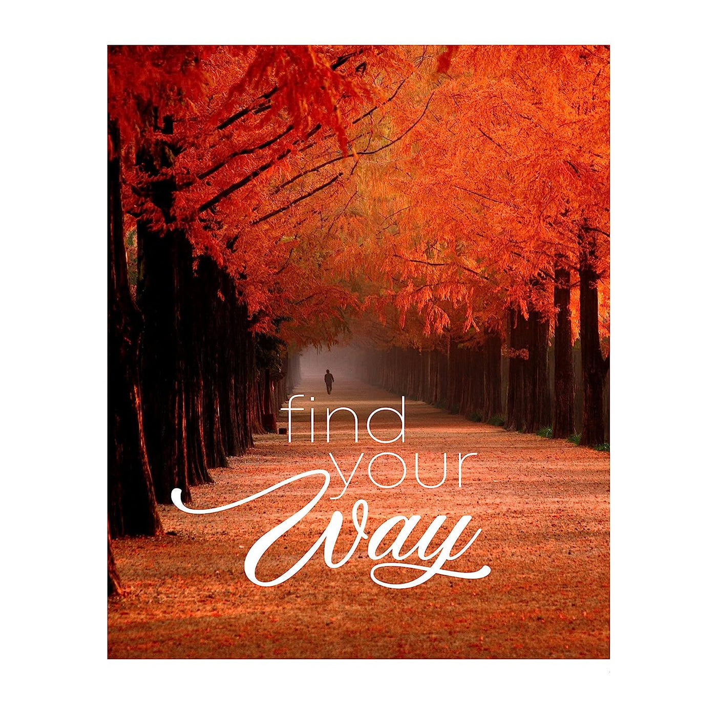 Find Your Way Inspirational Quotes Wall Art-8 x 10" Motivational Typographic Poster Print w/Tree-Lined Autumn Landscape-Ready to Frame. Beautiful Fall Scenery for Home-Office-School D?cor!