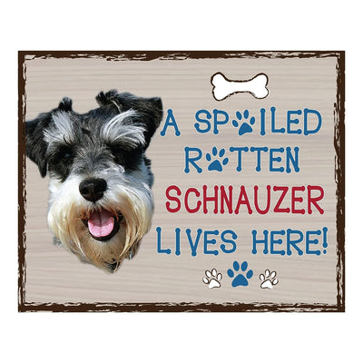 Schnauzer-Dog Poster Print-10 x 8" Wall Decor Sign-Ready To Frame."A Spoiled Rotten Schnauzer Lives Here". Perfect Pet Wall Art for Home-Kitchen-Cave-Bar-Garage. Great Gift for Schnauzer Lovers.
