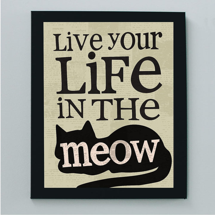 Live Your Life in the Meow Funny Cats Wall Decor-8 x 10" Typographic Sign Print w/Cat Image-Ready to Frame. Perfect Home-Office-Desk-Vet Clinic Decor. Fun Gift for Cat Owners &amp; All Pet Lovers!