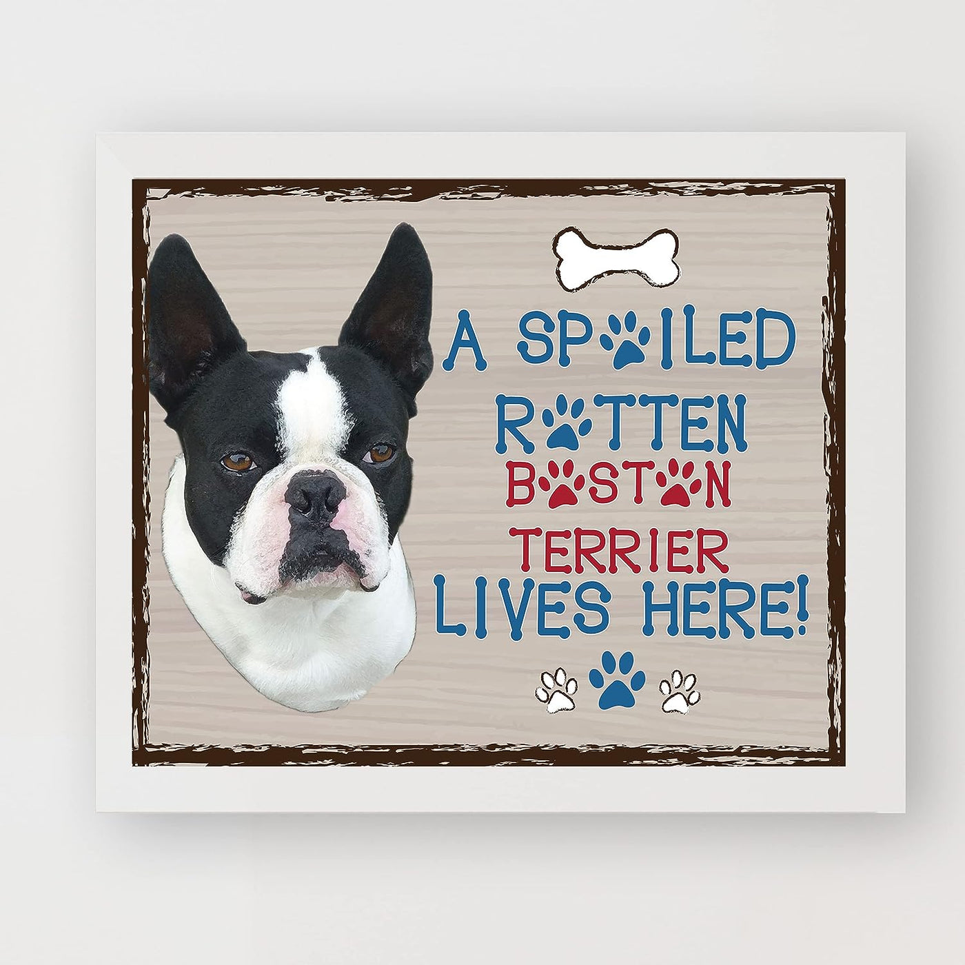 Boston Terrier-Dog Poster Print-10 x 8" Wall Decor Sign-Ready To Frame."A Spoiled Rotten Boston Terrier Lives Here". Perfect Pet Wall Art for Home-Kitchen-Cave-Garage. Great Gift for Terrier Lovers!
