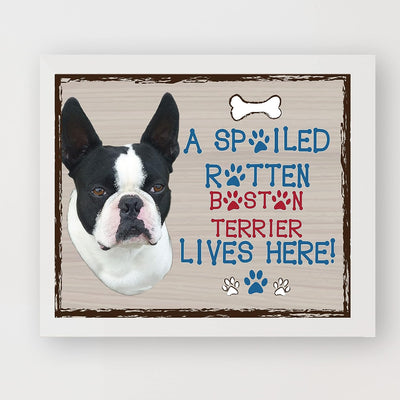 Boston Terrier-Dog Poster Print-10 x 8" Wall Decor Sign-Ready To Frame."A Spoiled Rotten Boston Terrier Lives Here". Perfect Pet Wall Art for Home-Kitchen-Cave-Garage. Great Gift for Terrier Lovers!