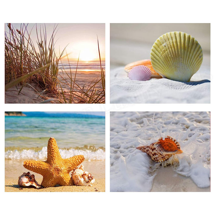 Beach &amp; Sea Shell Collection- 4 Print Set- 8 x 10"s Prints Wall Art- Ready to Frame. Home D?cor- Office D?cor &amp; Modern Art Prints for Beach Wall Decor. Great Gift For Ocean &amp; Shell Lovers.