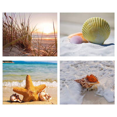 Beach & Sea Shell Collection- 4 Print Set- 8 x 10"s Prints Wall Art- Ready to Frame. Home D?cor- Office D?cor & Modern Art Prints for Beach Wall Decor. Great Gift For Ocean & Shell Lovers.