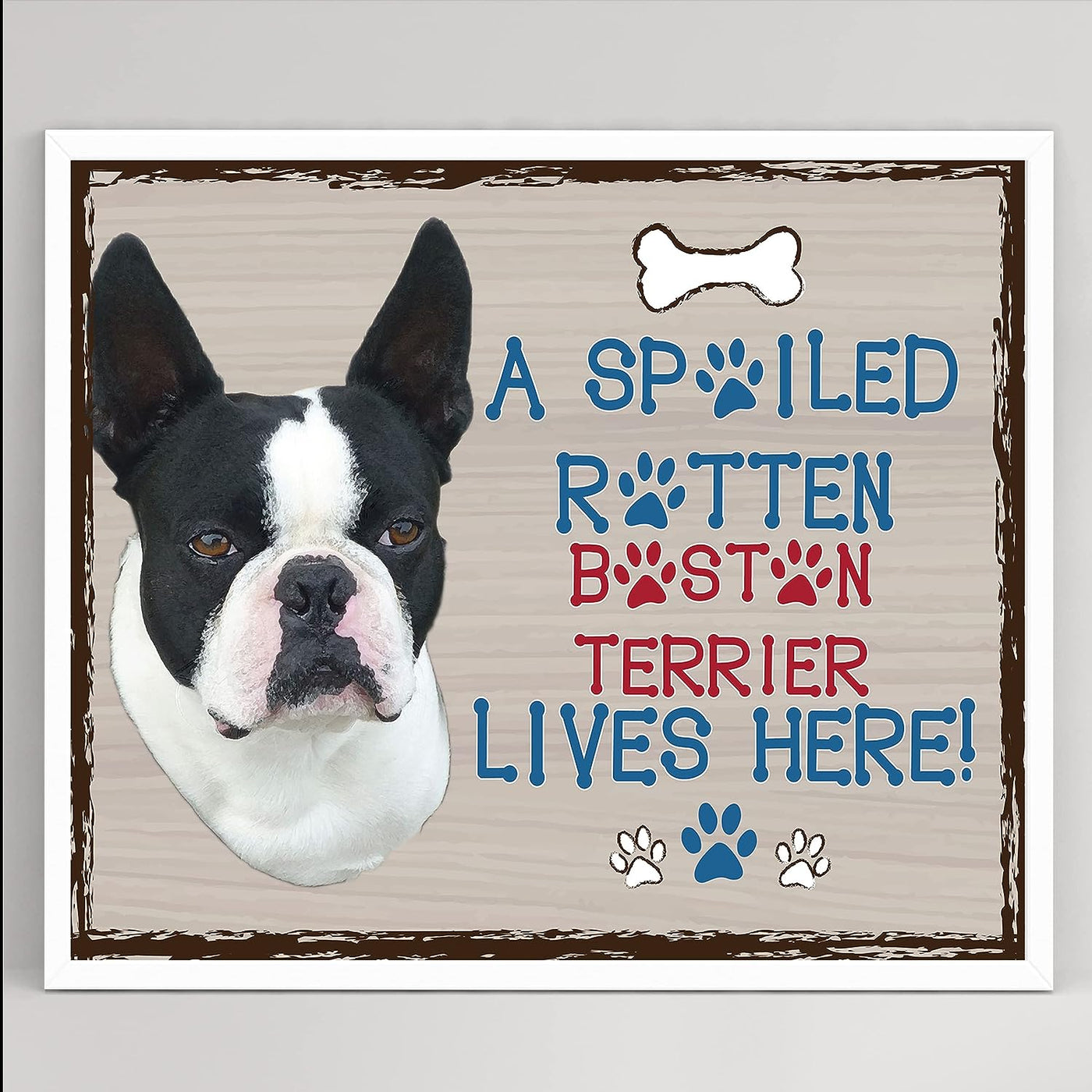 Boston Terrier-Dog Poster Print-10 x 8" Wall Decor Sign-Ready To Frame."A Spoiled Rotten Boston Terrier Lives Here". Perfect Pet Wall Art for Home-Kitchen-Cave-Garage. Great Gift for Terrier Lovers!