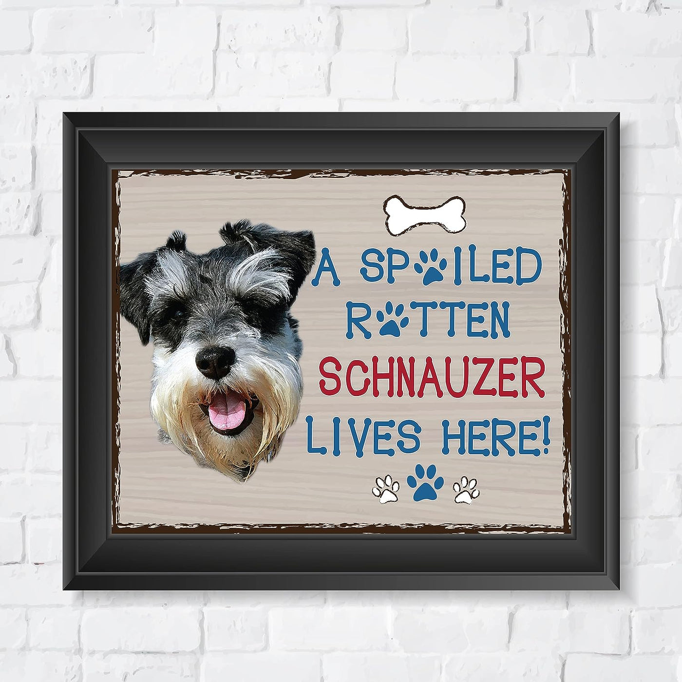 Schnauzer-Dog Poster Print-10 x 8" Wall Decor Sign-Ready To Frame."A Spoiled Rotten Schnauzer Lives Here". Perfect Pet Wall Art for Home-Kitchen-Cave-Bar-Garage. Great Gift for Schnauzer Lovers.