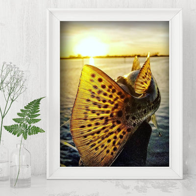 18" Speckled Sea Trout -Fish Photo Print -8 x 10" Ocean Sunset Wall Art Print-Ready to Frame. Fishing Picture Print for Home-Cabin-Lodge-Lake-Beach House Decor. Perfect Gift for All Fishermen!