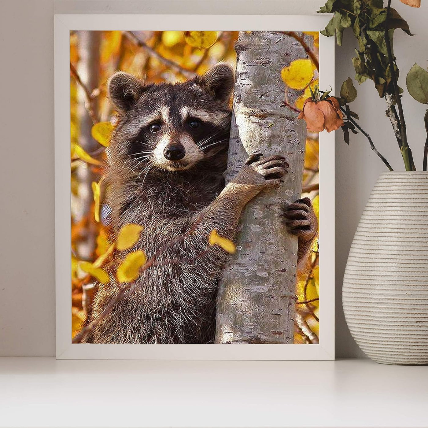 Curious Raccoon in the Trees- 8 x 10" Photographic Animals Wall Art Print-Ready to Frame. Home-Nursery-Woodlands Decor. Perfect Zoo Theme-Children's Bedroom Wall Decor. Cute Print for Animal Lovers!