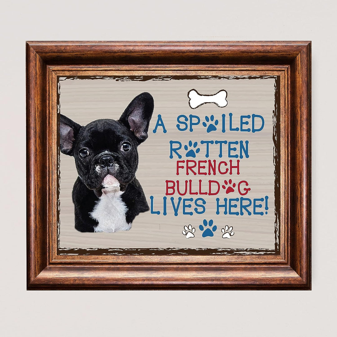 French Bulldog-Dog Poster Print-10 x 8" Wall Decor Sign-Ready To Frame."A Spoiled Rotten French Bulldog Lives Here". Perfect Pet Wall Art for Home-Kitchen-Cave-Garage. Great Gift for Frenchie Fans!
