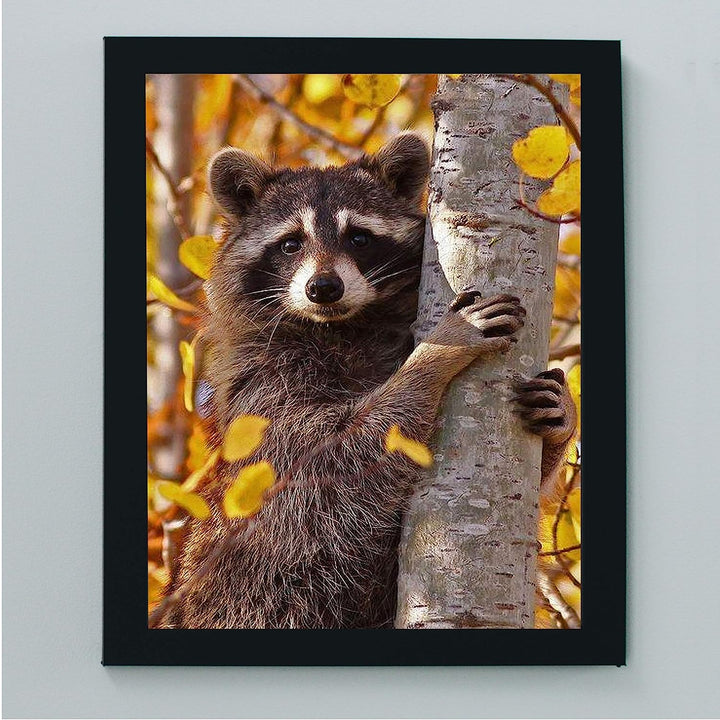 Curious Raccoon in the Trees- 8 x 10" Photographic Animals Wall Art Print-Ready to Frame. Home-Nursery-Woodlands Decor. Perfect Zoo Theme-Children&