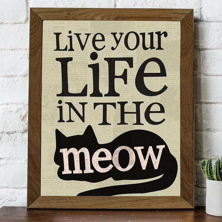 Live Your Life in the Meow Funny Cats Wall Decor-8 x 10" Typographic Sign Print w/Cat Image-Ready to Frame. Perfect Home-Office-Desk-Vet Clinic Decor. Fun Gift for Cat Owners &amp; All Pet Lovers!