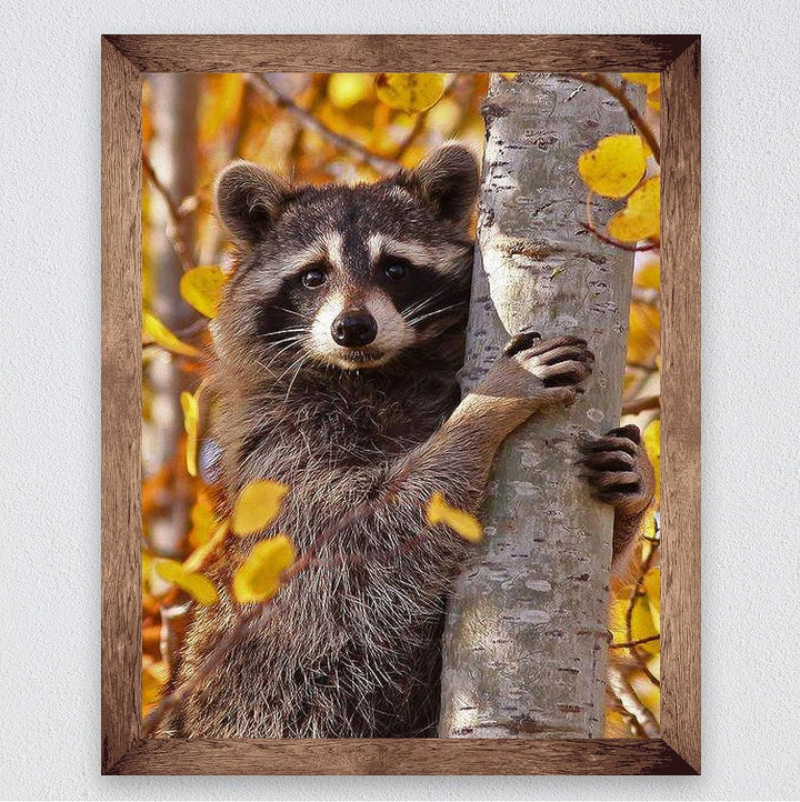 Curious Raccoon in the Trees- 8 x 10" Photographic Animals Wall Art Print-Ready to Frame. Home-Nursery-Woodlands Decor. Perfect Zoo Theme-Children&