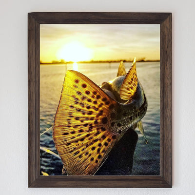 18" Speckled Sea Trout -Fish Photo Print -8 x 10" Ocean Sunset Wall Art Print-Ready to Frame. Fishing Picture Print for Home-Cabin-Lodge-Lake-Beach House Decor. Perfect Gift for All Fishermen!