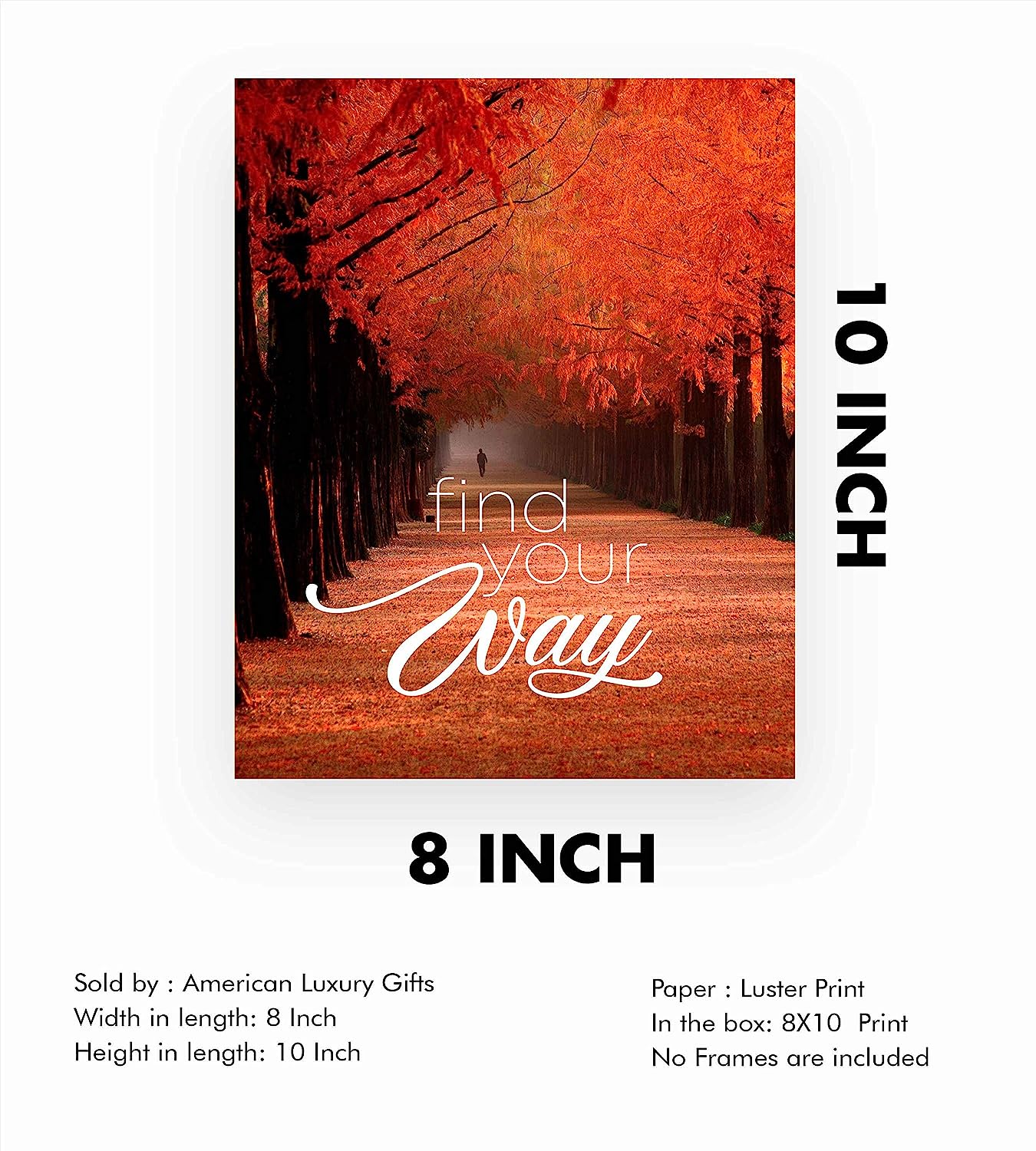 Find Your Way Inspirational Quotes Wall Art-8 x 10" Motivational Typographic Poster Print w/Tree-Lined Autumn Landscape-Ready to Frame. Beautiful Fall Scenery for Home-Office-School D?cor!