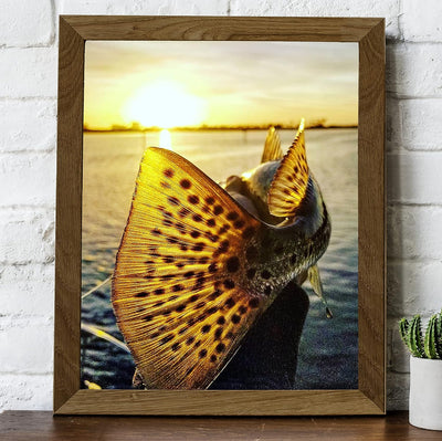 18" Speckled Sea Trout -Fish Photo Print -8 x 10" Ocean Sunset Wall Art Print-Ready to Frame. Fishing Picture Print for Home-Cabin-Lodge-Lake-Beach House Decor. Perfect Gift for All Fishermen!