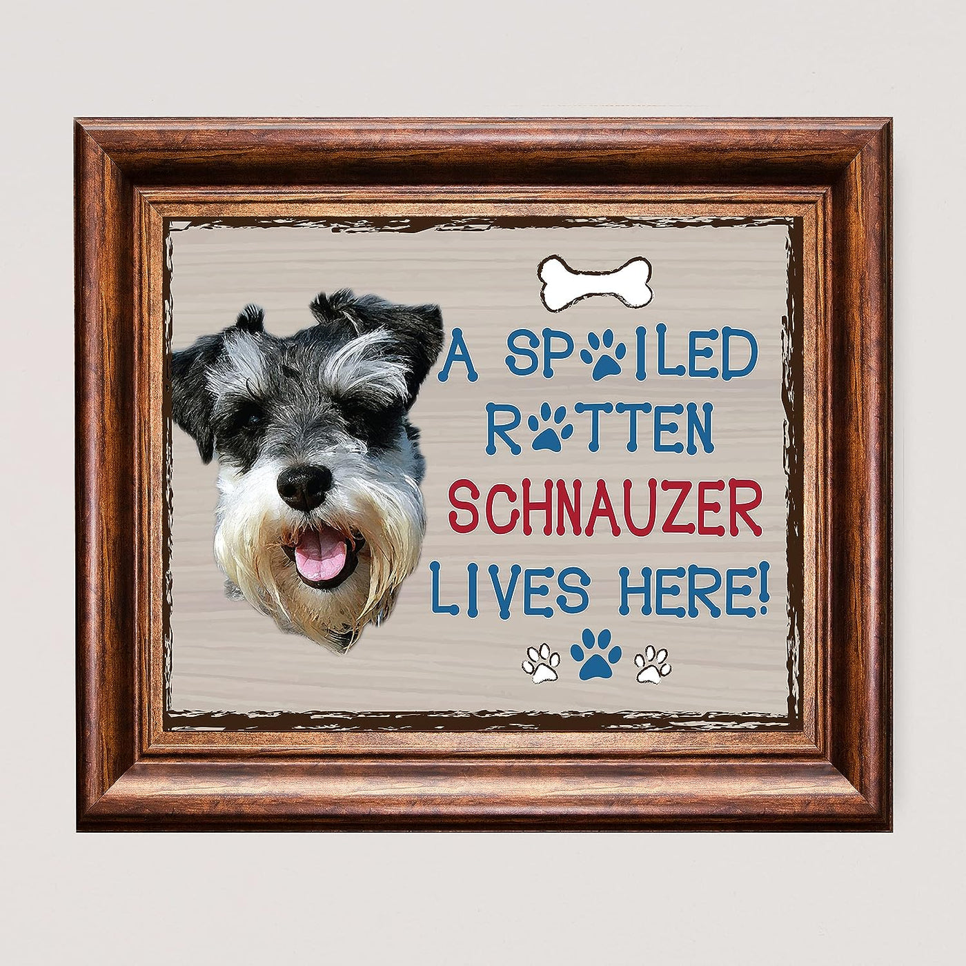 Schnauzer-Dog Poster Print-10 x 8" Wall Decor Sign-Ready To Frame."A Spoiled Rotten Schnauzer Lives Here". Perfect Pet Wall Art for Home-Kitchen-Cave-Bar-Garage. Great Gift for Schnauzer Lovers.