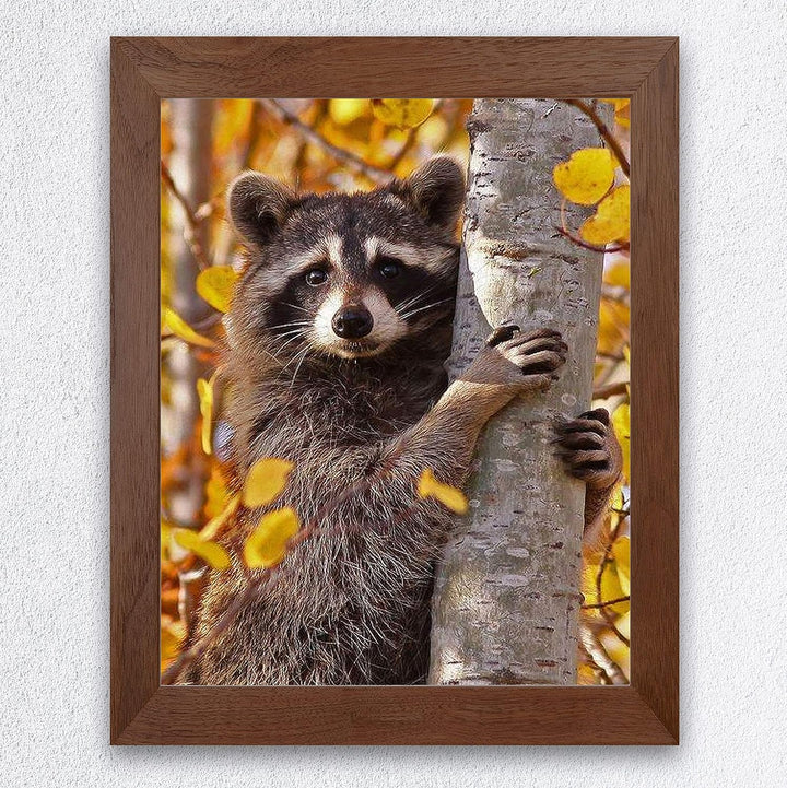 Curious Raccoon in the Trees- 8 x 10" Photographic Animals Wall Art Print-Ready to Frame. Home-Nursery-Woodlands Decor. Perfect Zoo Theme-Children&