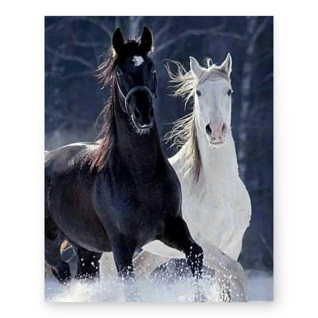Western Country Decor for Living Room or Horse Wall Art