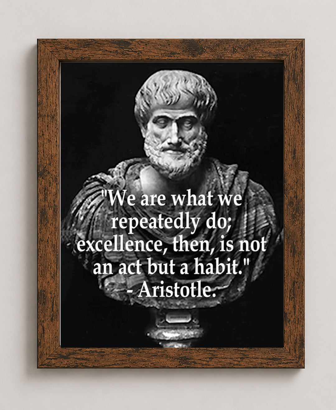 Excellence is a Habit Aristotle Inspirational Wall Art