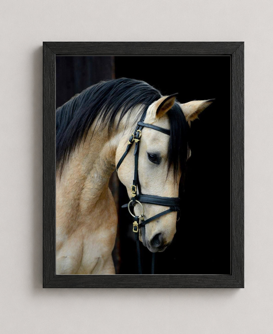 Majestic Cream Horse Portrait Wall Art