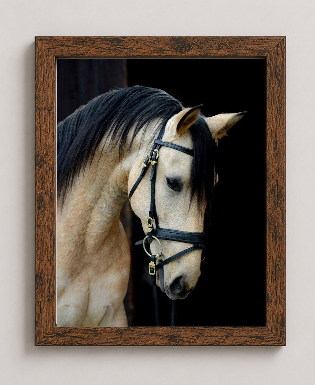 Majestic Cream Horse Portrait Wall Art